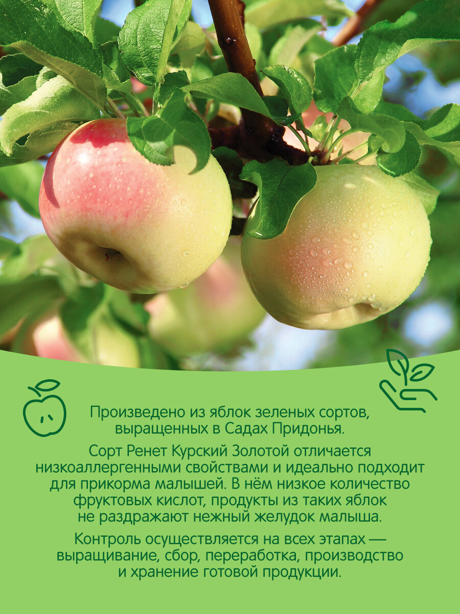Фруктовое пюре Сады Придонья яблоко, с 4 месяцев - фото №4