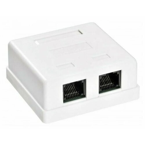 Розетка RJ-45 Buro TL-CAT-014 468-8k-2 кат.5E двойная крона