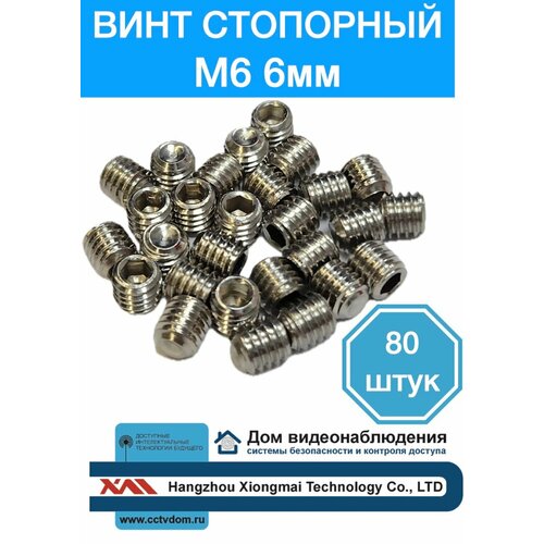 Винт стопорный M6 x 6 мм, 80 шт.