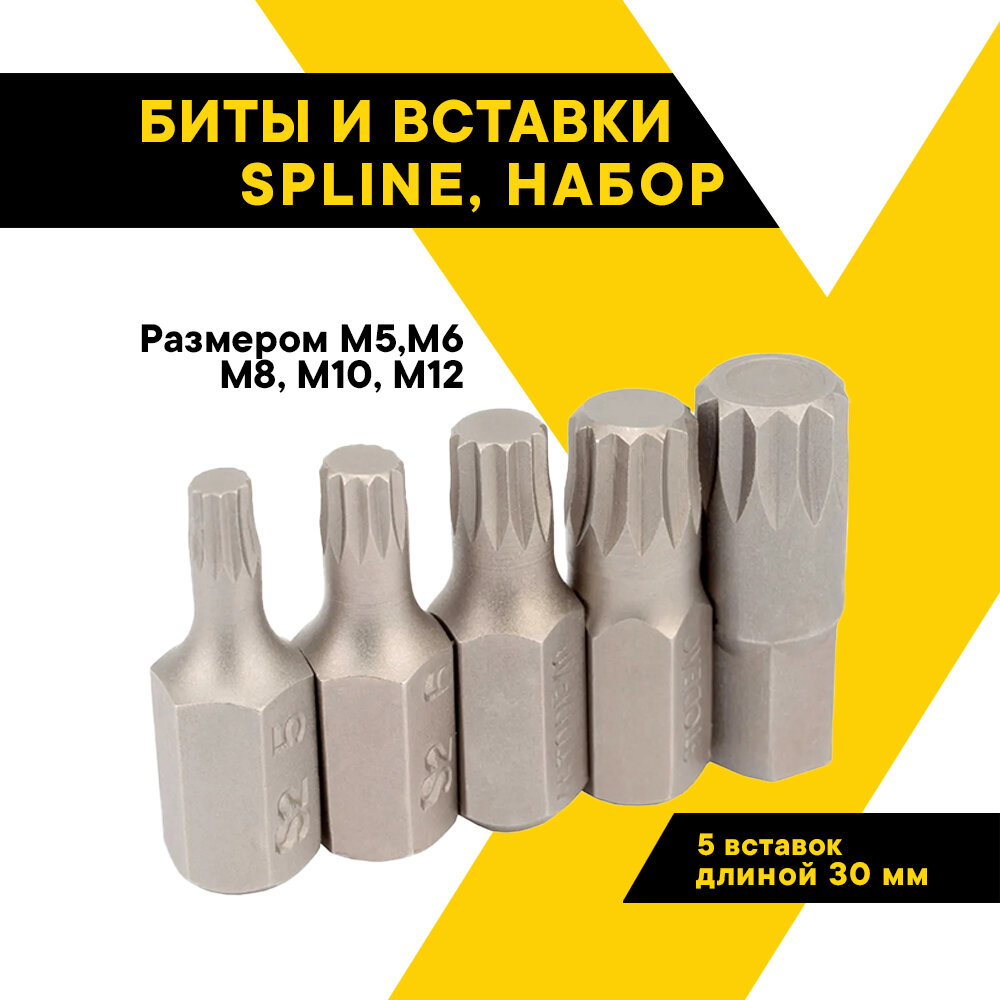 Набор бит, вставок, 5 пр. SPLINE М5-М12 30мм. блистер 40634 (АвтоDело) автодело