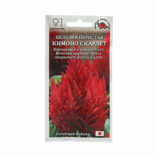 Золотая Сотка Алтая Семена цветов Целозия 