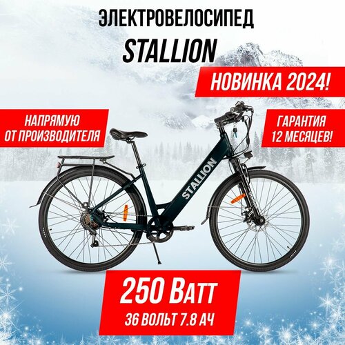 Электровелосипед Stallion Черный 8500000₽