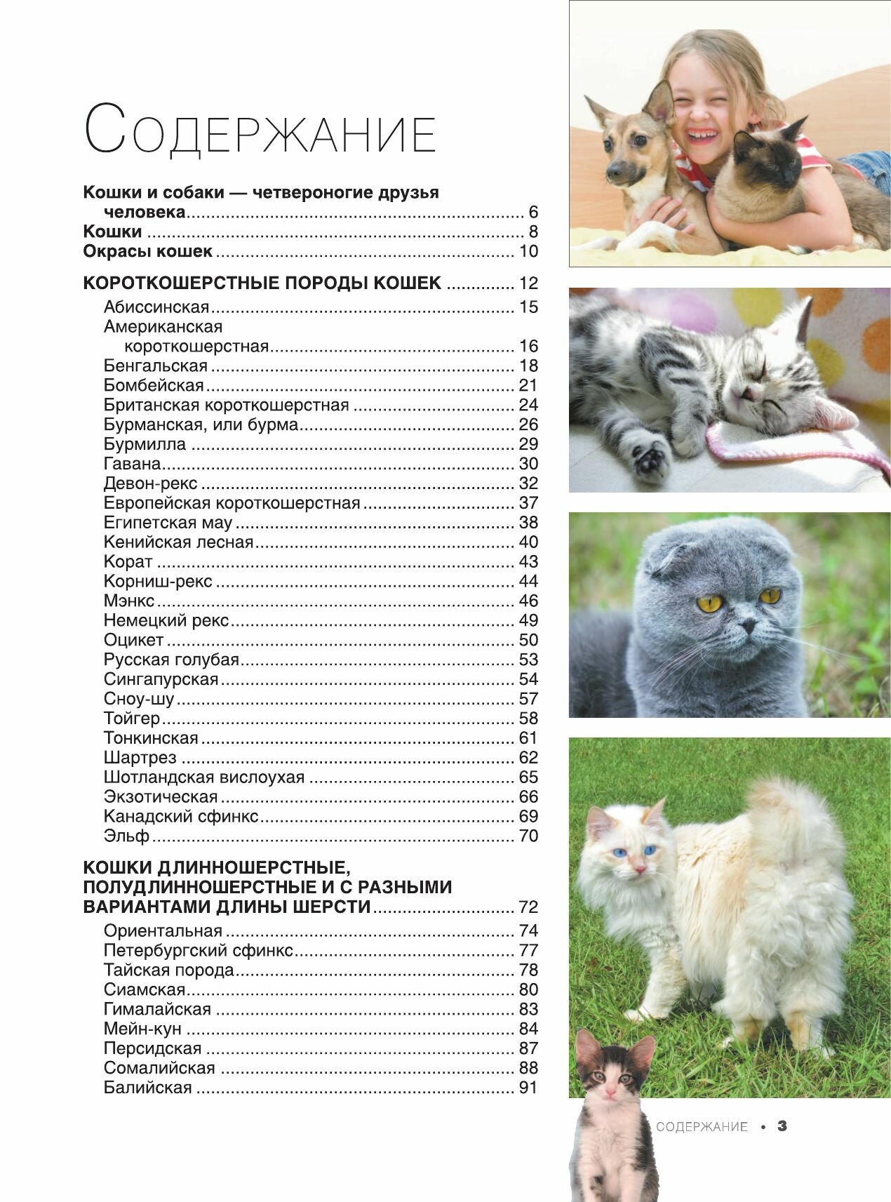 Большая книга о кошках и собаках. 1001 фотография - фото №4