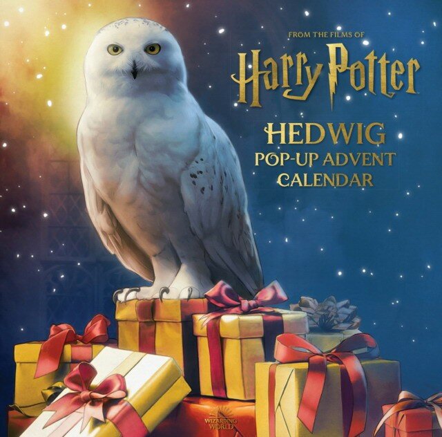 Reinhart Matthew "Harry potter: hedwig pop-up advent calendar"