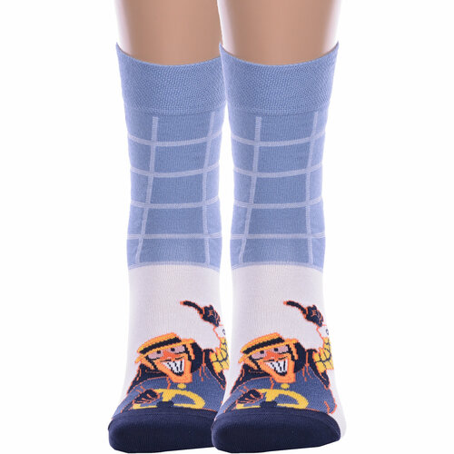 фото Носки брестские, 2 пары, размер 29, белый, голубой