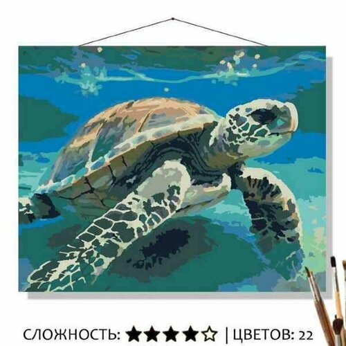 Картина по номерам на холсте 50*40 Морская черепаха морская черепаха раскраска картина по номерам на холсте