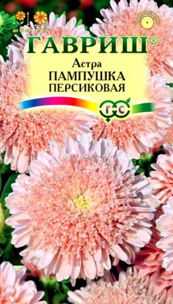 Семена Астра Пампушка Персиковая помпонная 03г Одн 50см (Гавриш)