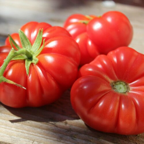 Томат Инжирный рубиновый автор. (семена).