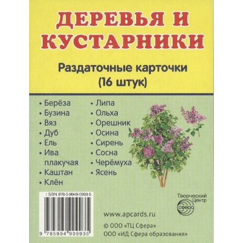 Деревья и кустарники. 16 раздаточных карточек гербарий садовые деревья и кустарники