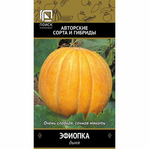 Семена Дыня Эфиопка (А) дыня эфиопка 2 4 5 кг