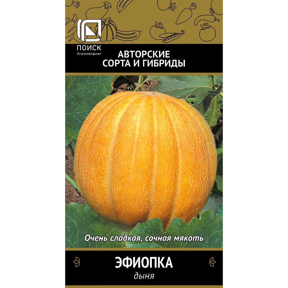 Дыня Эфиопка (А) 15 шт