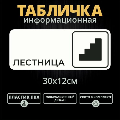 Табличка на дверь "Лестница" (30х12см)