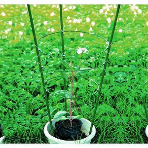 Опора для растений и цветов GREEN APPLE GFS-3-75 поддержка для растений 75 см, 3 кольца