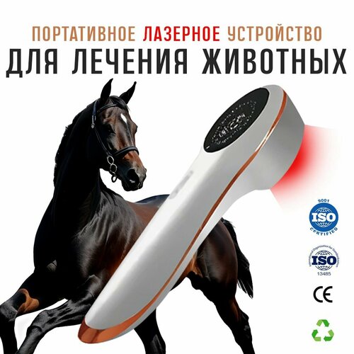 808nm и 650nm sciatica пяточная шпора боль в шее холодная лазерная терапия боли в теле артрит заживление ран лазерное облегчение боли Инфракрасная лазерная терапия для домашних животных. Обезболивающая, ускорения заживления ран, для собак, кошек, лошадей