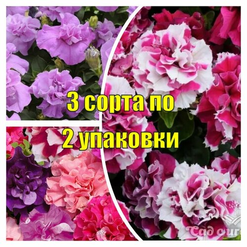 Набор семян Петуния махровая серии Дуо 3 сорта по 2 упаковки, 5 шт/уп профсемена, ручная фасовка!