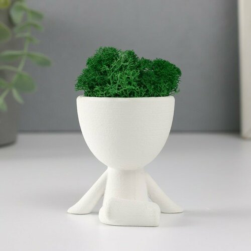 SUI Кашпо бетонное мини Мистер Грин на чиле со мхом белый 65х6х65 см мох зеленый стабилиз 588₽