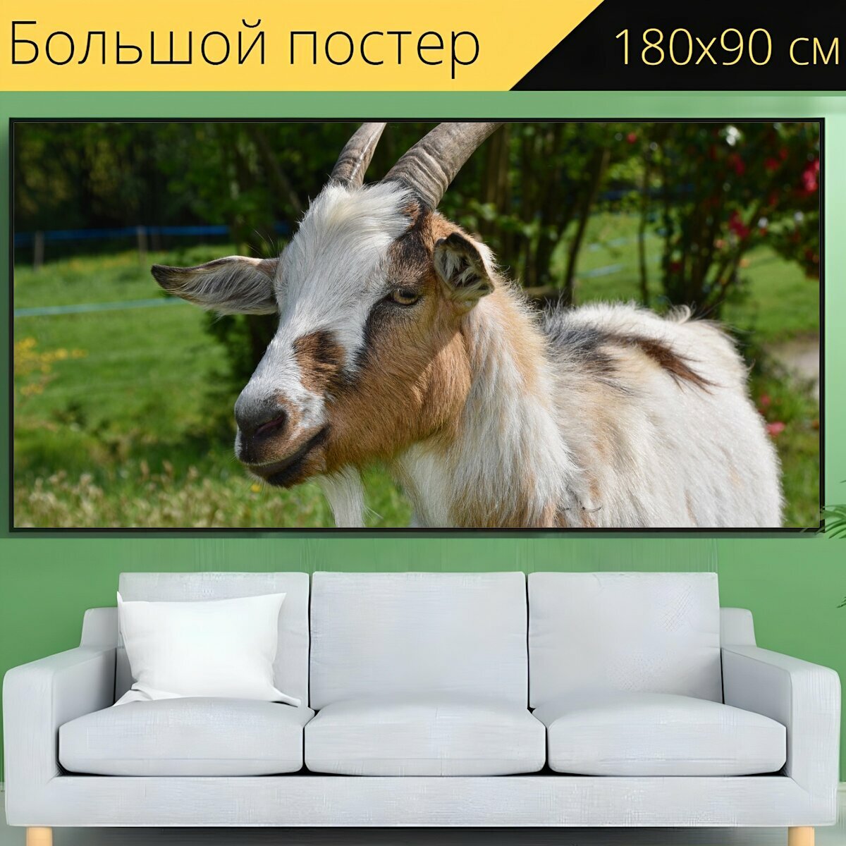 Большой постер "Коза, козел, козел имеет рога" 180 x 90 см. для интерьера