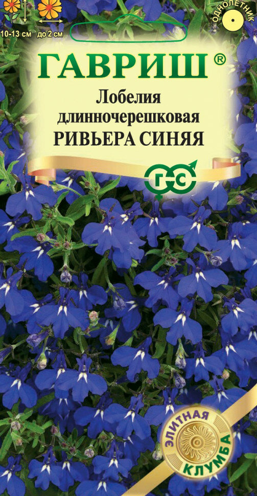 Семена Лобелия Ривьера синяя 4шт Гавриш Элитная клумба 10 пакетиков