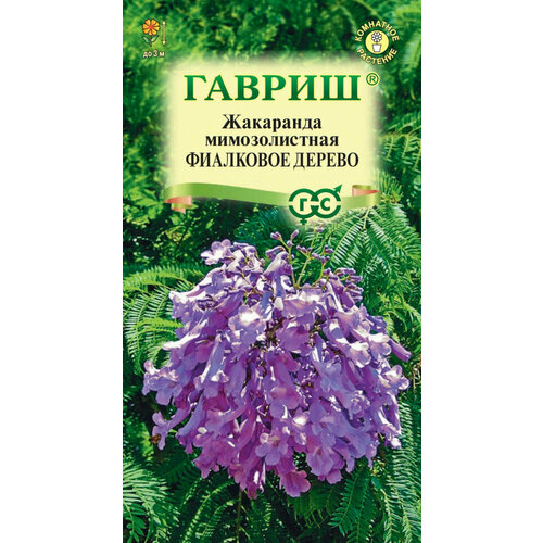 Семена Жакаранда Фиалковое дерево, 3шт, Гавриш, Цветочная коллекция, 10 пакетиков