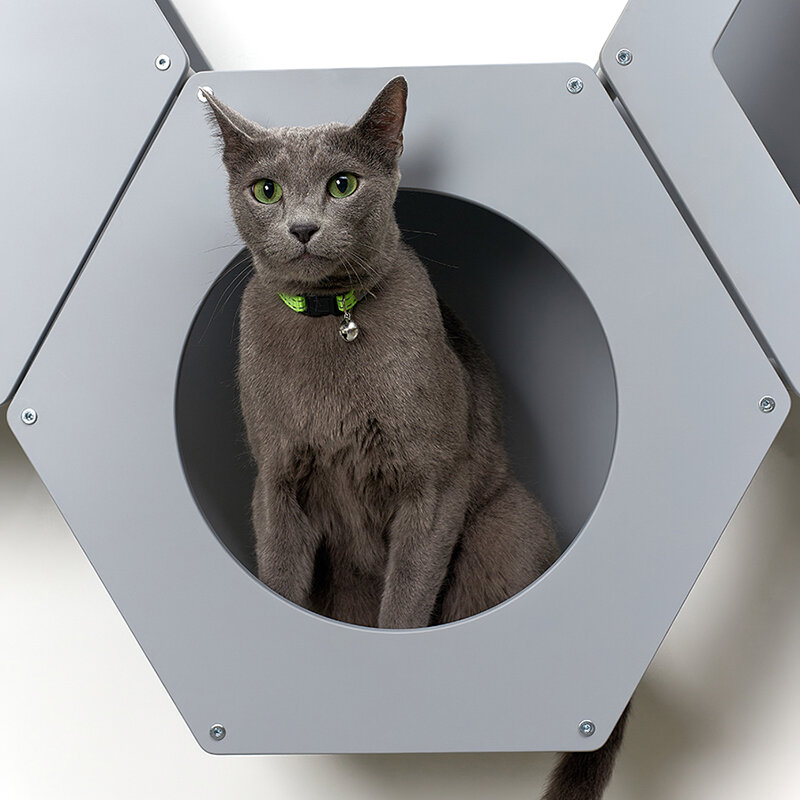 Сота для настенного игрового комплекса для кошек с большим круглым окошком, серый