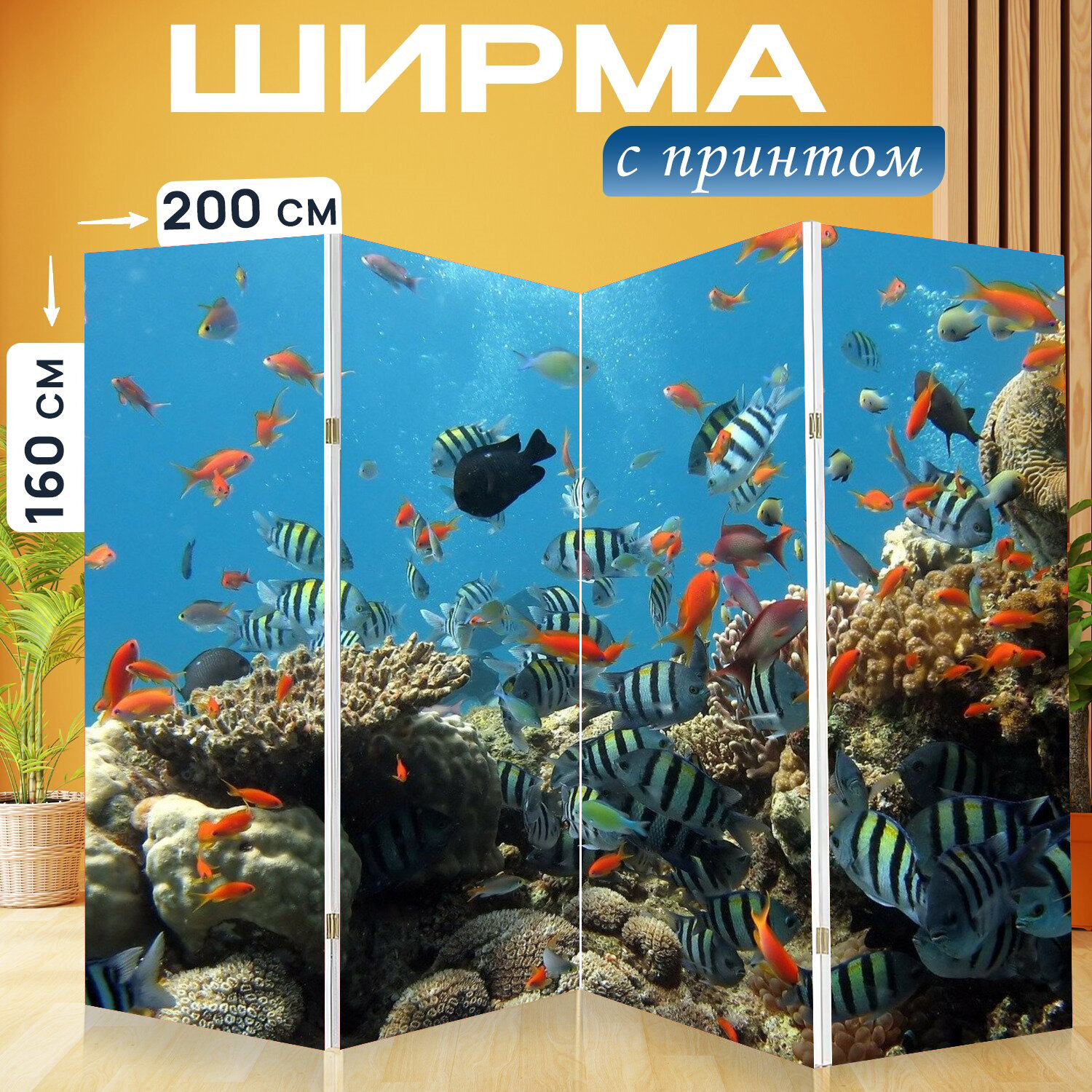 Ширма перегородка с принтом "Рыбы, аквариум, море" на холсте - 200x160 см. для зонирования, раскладная