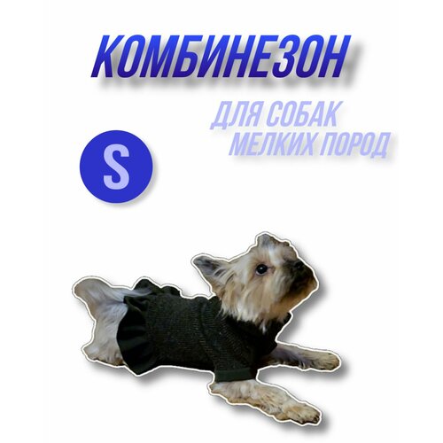 Комбинезон для собак мелких пород
