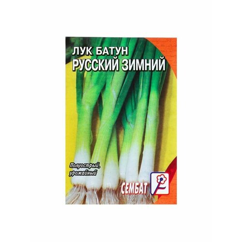 Семена Лук батун Русский зимний, 1 г семена лук русский зимний батун 1 г 3 пачки