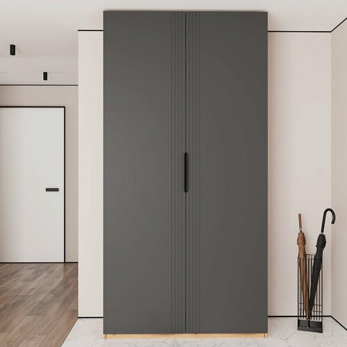 Шкаф распашной Астрис-3 Графит 120x45x240 серый двухдверный для одежды 34290₽