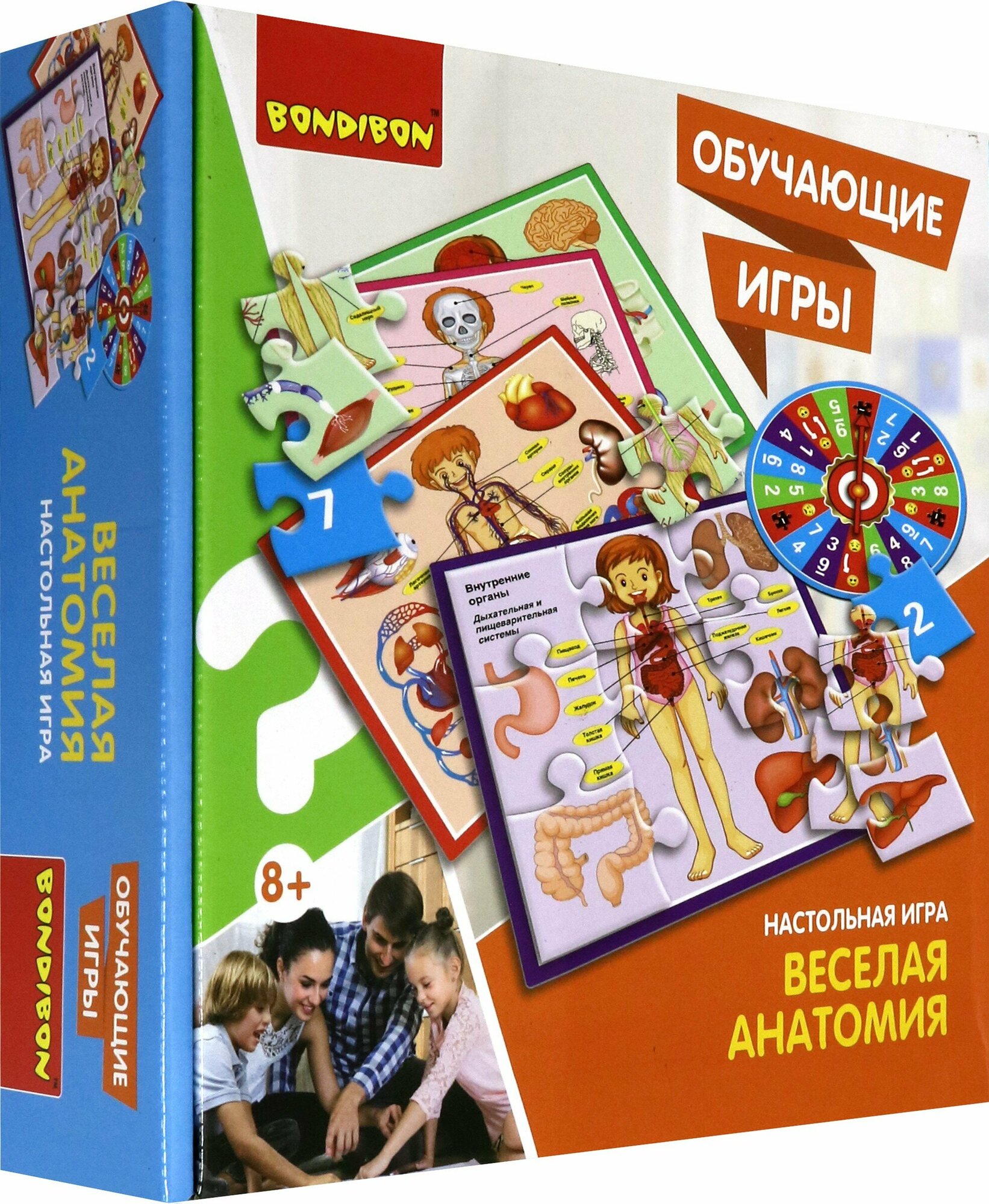 Игра обучающая, настольная "ВЕСЕЛАЯ АНАТОМИЯ" (ВВ3792) Bondibon - фото №14