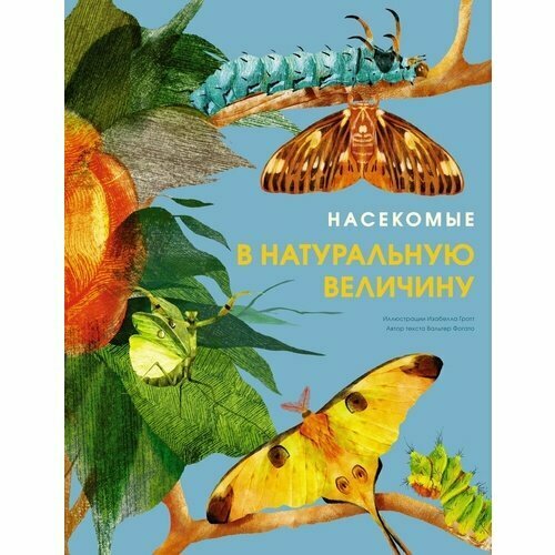 Вальтер Фогато. Насекомые в натуральную величину