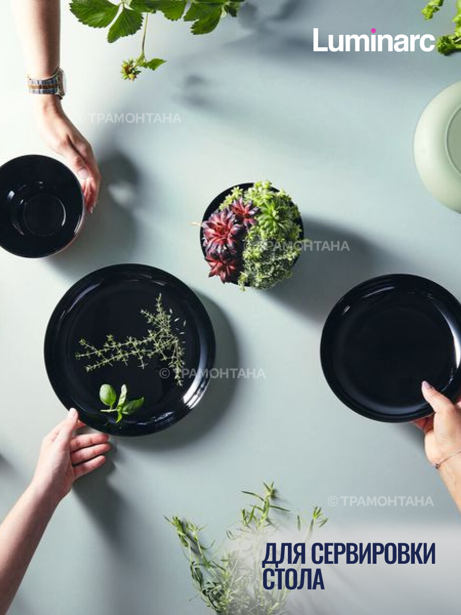 блюдо LUMINARC Vicky Soft Green 21см круглое стекло - фото №7