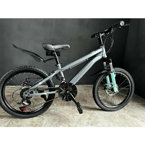 Велосипед Richiesto TT021 20 Стальная рама Горный Детский Подростковый Для активного отдыха Унисекс серый 2250000₽