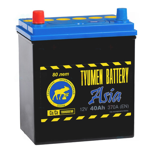 Автомобильный аккумулятор TYUMEN Battery Asia 40.1 Ач L+ EN370A (190x125x220) тонк. клеммы