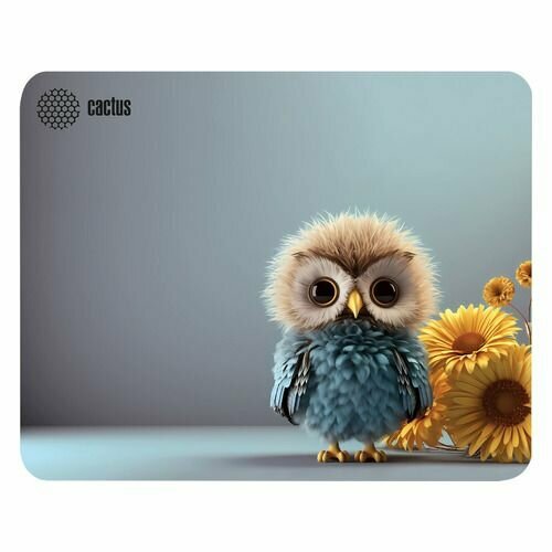 Коврик для мыши Cactus Owl gray ткань, 300х250х3мм [cs-mp-d12m] голубой, серый, голубой, размер 300х250х3 мм