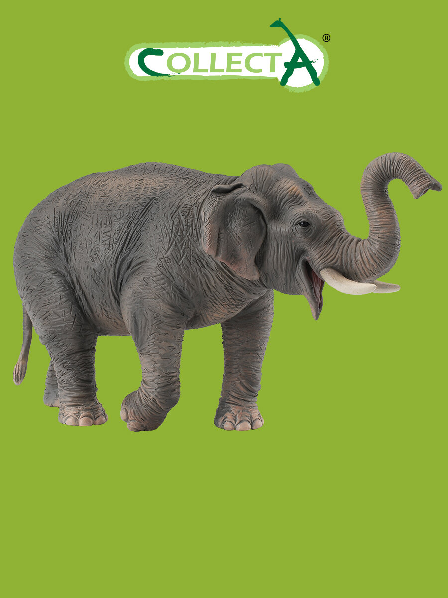 Фигурка Collecta Азиатский слон, XL - фото №2