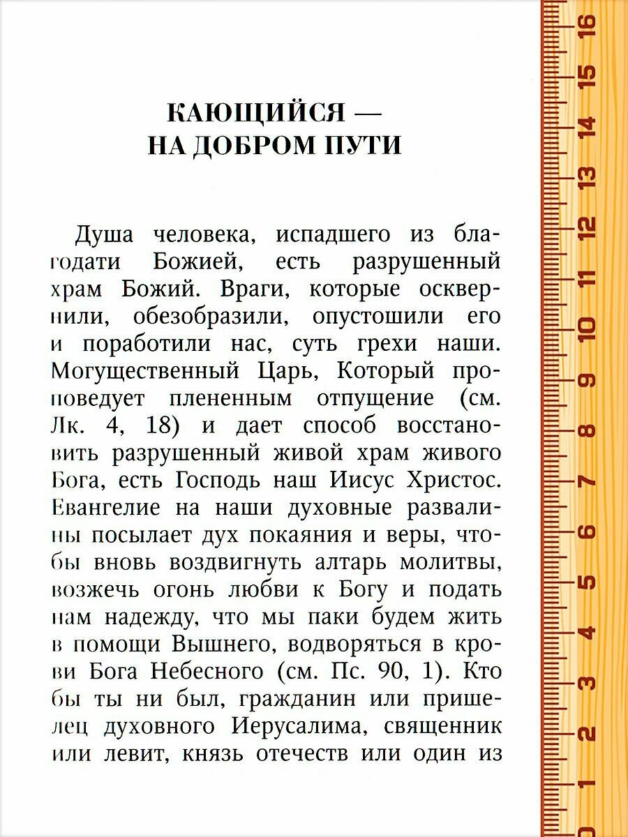 Покаяние очищает душу. По творениям святителя Филарета Московского - фото №5