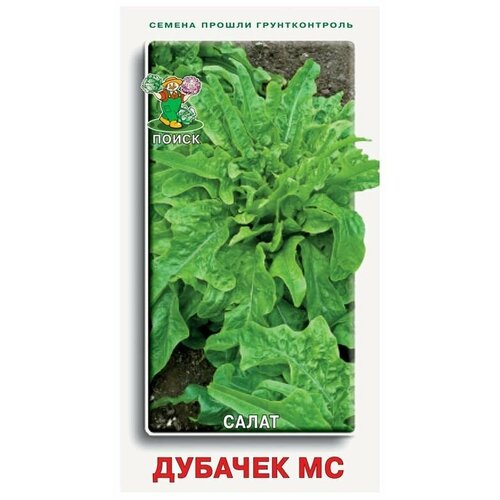 Семена Салат Дубачек МС