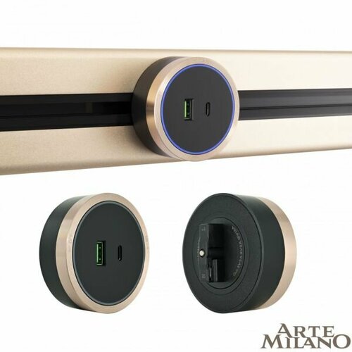 Трековая розетка Arte Milano Am-track-sockets 380066TS LEDUSB-Type-C Gold 2846₽