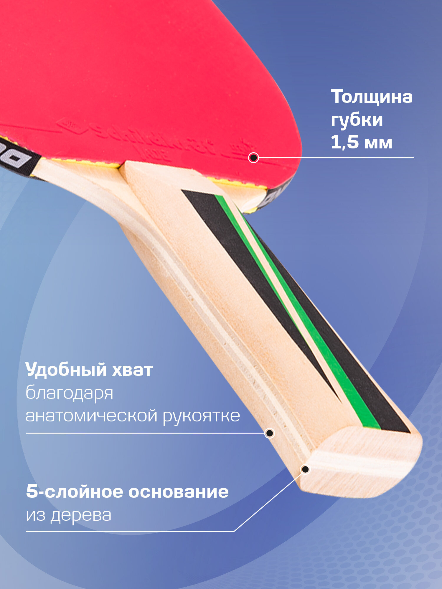 Набор для настольного тенниса Donic Top Team 400 (2 ракетки + 3 мяча бел.) — фото 1