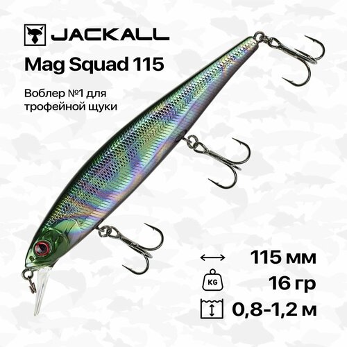 Воблер Jackall Mag Squad 115 SP, 115 мм, 16 гр, 0,8-1,2 м, #UL Tamamushi