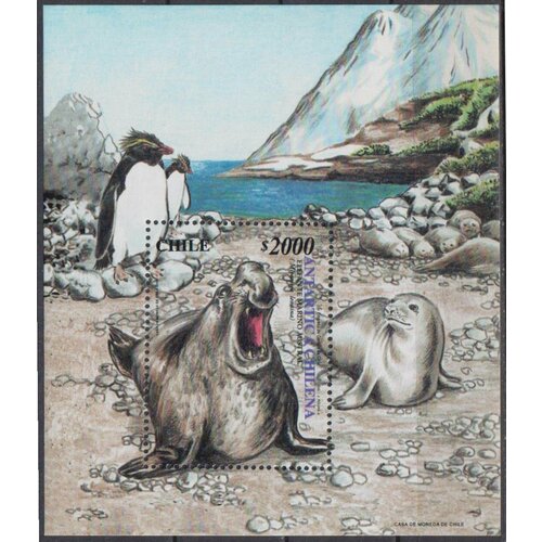 почтовые марки россия 1995г природа флора фауна природа водоемы морские котики mnh Почтовые марки Чили 2000г. Антарктида Фауна, Морские котики MNH