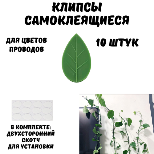 Клипсы для растений , фиксатор для комнатных растений на стену, 10 шт.