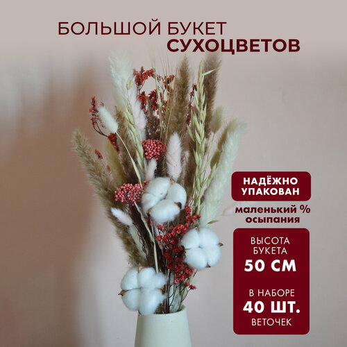 Сухоцветы для декора