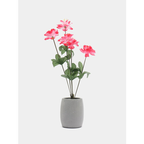 Камелия букет Цвет Розовый 599₽