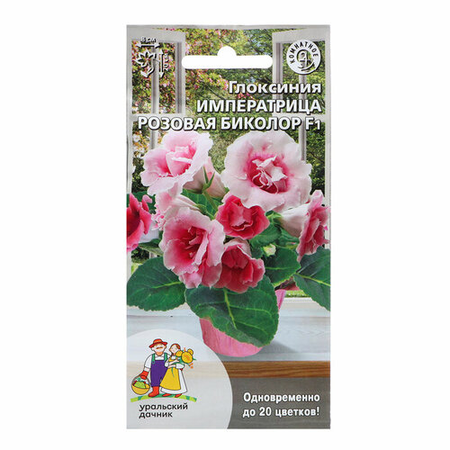 Семена Цветов Глоксиния Императрица розовая биколор ,6 шт , семена садовая глоксиния инкарвиллея