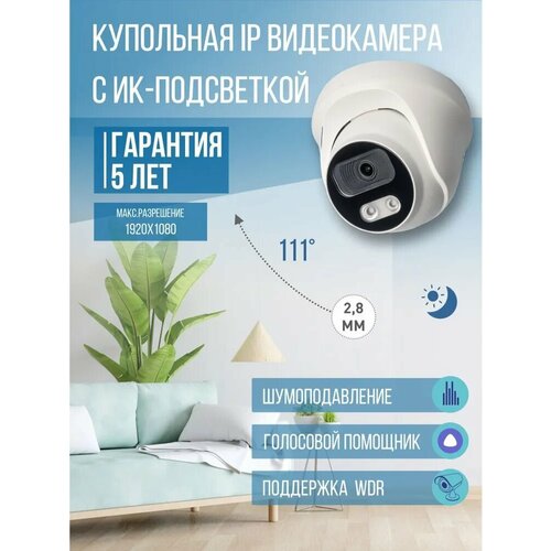 Купольная IP видеокамера IPTRONIC IPT-IPL1081DM(2,8)P купольная ip видеокамера iptronic ipt ipl1080dp 2 8 p