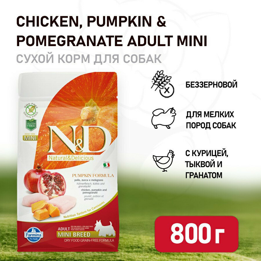 Farmina N&D Pumpkin Dog Grain Free Chicken & Pomegranate Adult Mini сухой беззерновой корм для взрослых собак мелких пород с курицей, гранатом и тыквой - 800 г