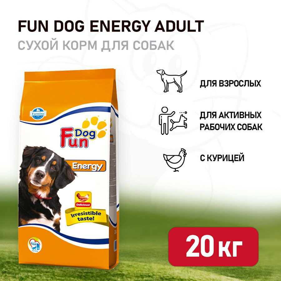 Farmina Fun Dog Energy сухой корм для взрослых собак активных пород с курицей - 20 кг