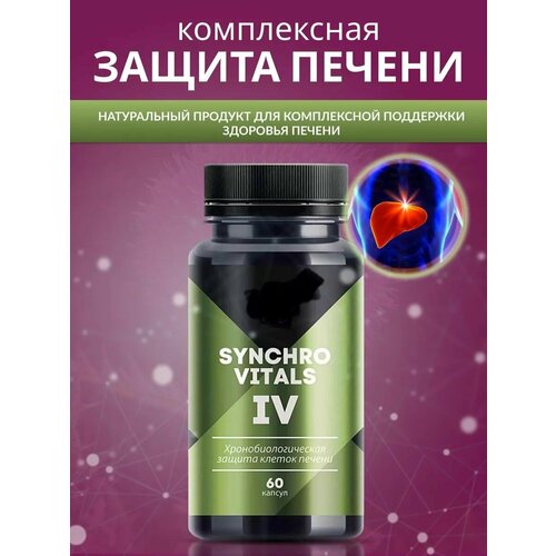 Хронобиологическая защита печени Синхровитал IV, Сибирское здоровье, 60 капсул