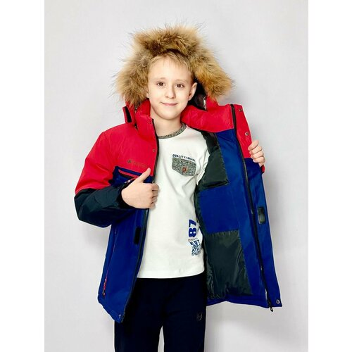 фото Парка lcayhd fashion зимняя куртка для мальчика 23-21(1/25), размер 134, красный, синий